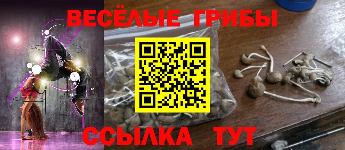Псилоцибиновые грибы Magic Shrooms Лянтор